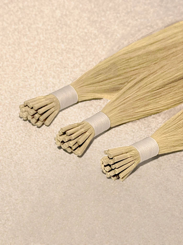 Sunshine Blonde(#613N) I Tips Hair Extensions