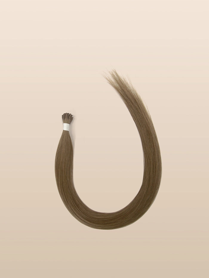 Chestnut Brown(#6N) I Tips Hair Extensions